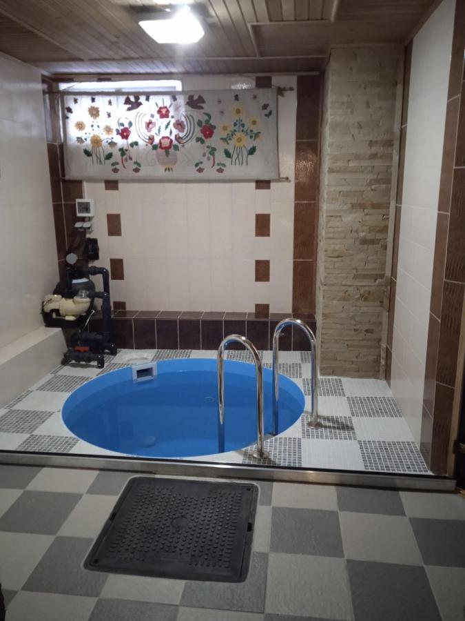מלון Zdybanka *